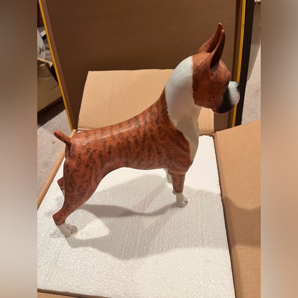 Never displayed, beautiful Boxer model. - Picture 7 of 9
